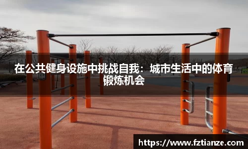 在公共健身设施中挑战自我：城市生活中的体育锻炼机会